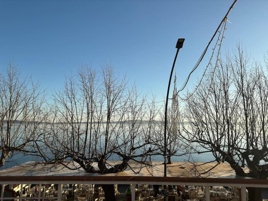 Fronte Lago Nel Centro Storico “La Casa Del Lago” 트레비나노로마노 외부 사진